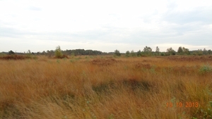 DSC04888