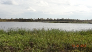 DSC04904