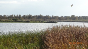 DSC04905