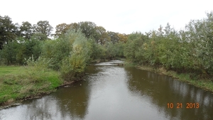 DSC04918