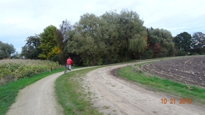 DSC04966