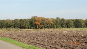 DSC04975