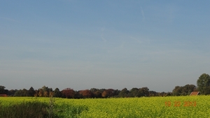 DSC04976