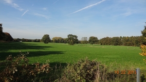 DSC04979