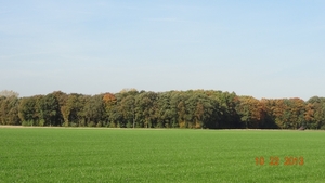 DSC04980
