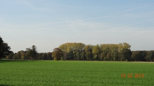 DSC04981