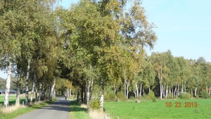 DSC04982