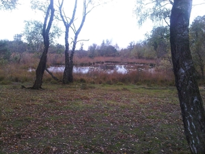 IMG01722-20131019-1441