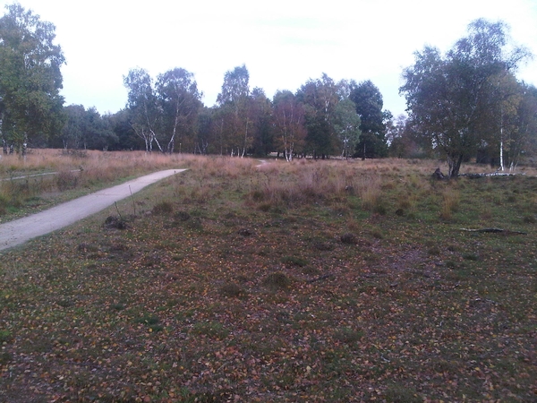 IMG01723-20131019-1441