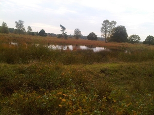 IMG01726-20131019-1448
