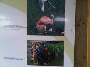 IMG01729-20131019-1451