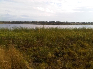 IMG01741-20131020-1500