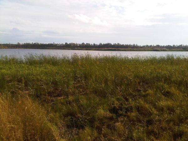 IMG01741-20131020-1500