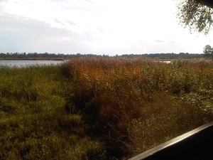 IMG01742-20131020-1500