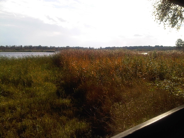 IMG01742-20131020-1500