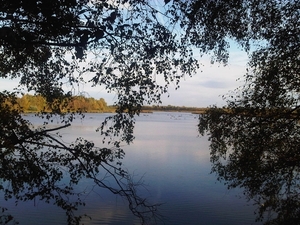 IMG01745-20131020-1534