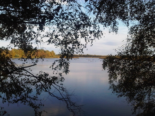 IMG01745-20131020-1534