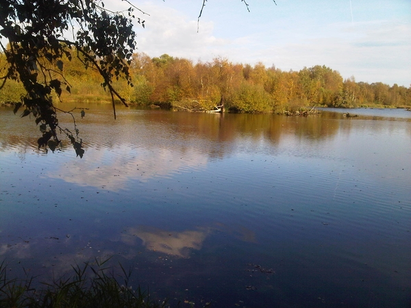 IMG01747-20131020-1534