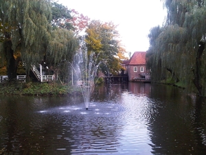 IMG01757-20131021-1609