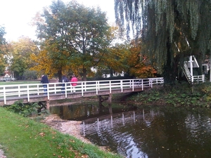 IMG01759-20131021-1610