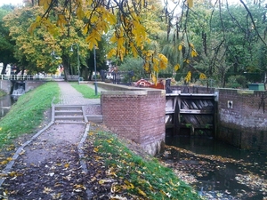 IMG01760-20131021-1612