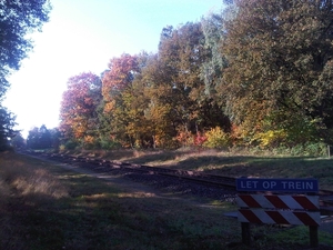IMG01764-20131022-1208