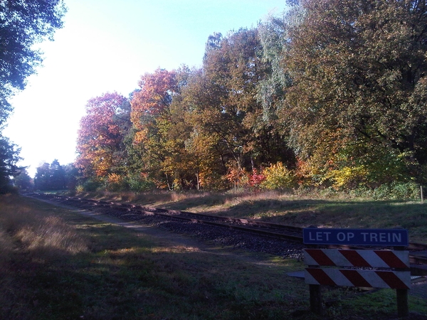 IMG01764-20131022-1208