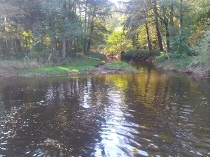 IMG01766-20131022-1214