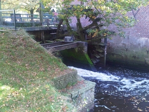 IMG01768-20131022-1215