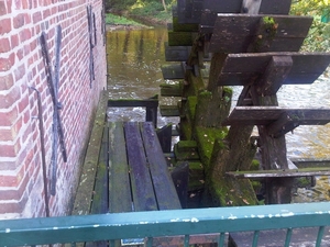 IMG01769-20131022-1216