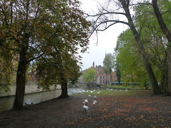 026-De Reien en het Minnewater