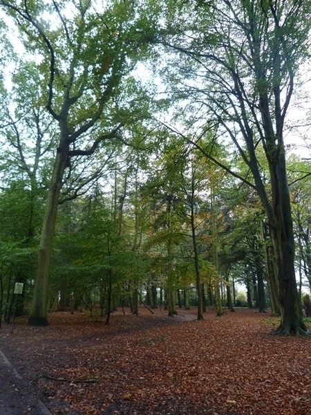 092-Het parkdomein-Koude Keuken-St-Andries