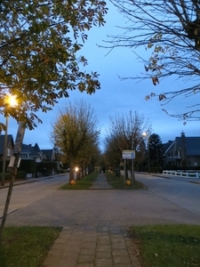 2013-10-31 Zottegem 003