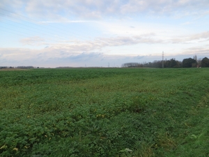2013-11-02 Hingene 009