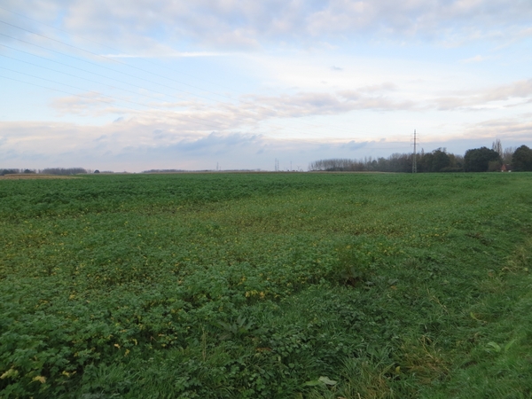 2013-11-02 Hingene 009