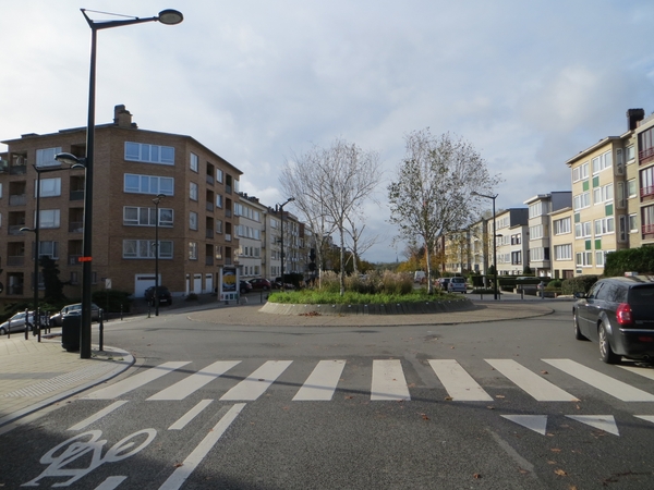 2013-11-03 Strombeek-Bever 005