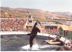 Marineland