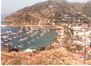 bay catalina eiland