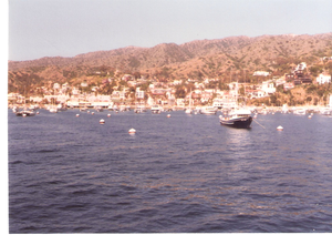Catalina eiland