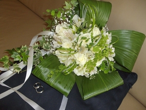 162-IMGP0748