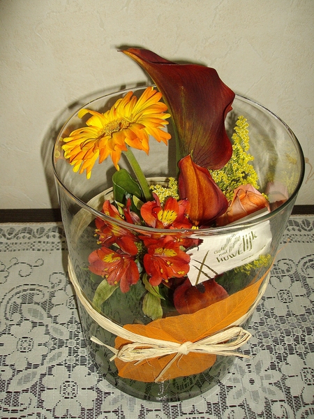 164-IMGP0753
