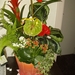 165-IMGP0754