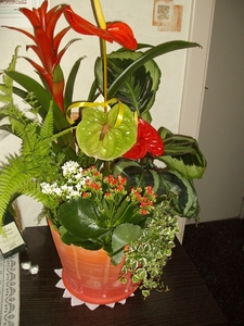 165-IMGP0754