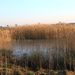 OMGEVING ST-JOB-IN-'T-GOOR