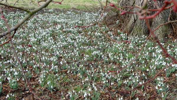 OMGEVING KAMPENHOUT