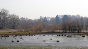 OMGEVING OTTENBURG-HULDENBERG