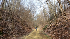 OMGEVING OTTENBURG-HULDENBERG