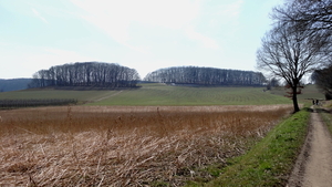 OMGEVING OTTENBURG-HULDENBERG