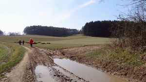 OMGEVING OTTENBURG-HULDENBERG