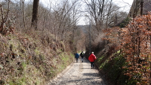 OMGEVING OTTENBURG-HULDENBERG